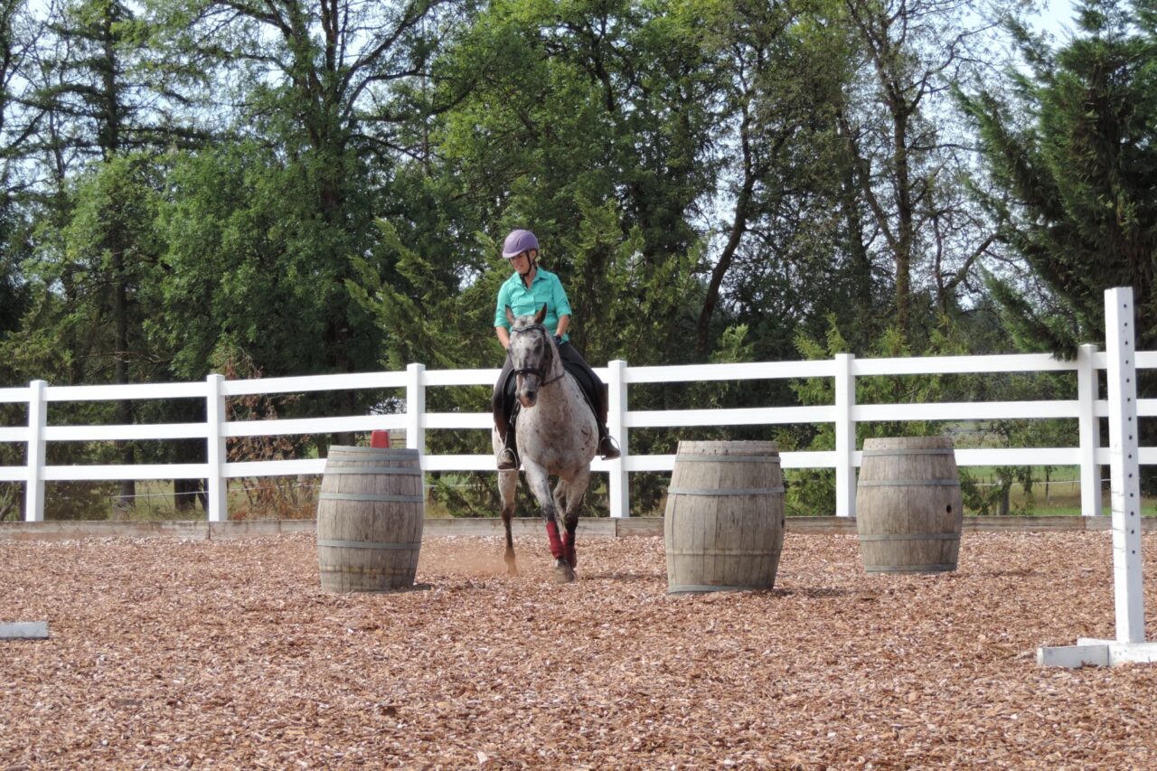 Lesson & Lease Horses Care Acres