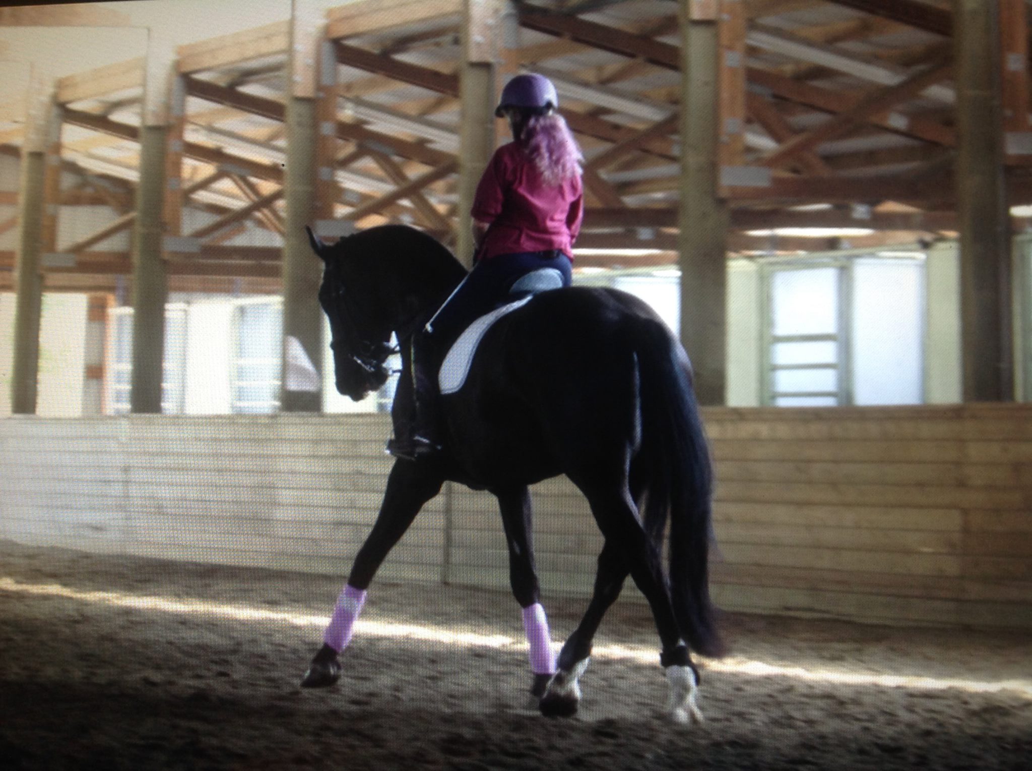 trot half pass